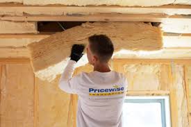 Best Eco-Friendly Insulation Solutions  in University Park, MD